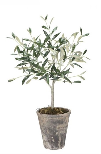 Oliventræ Flora 44 cm., Lene Bjerre