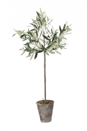Oliventræ Flora 73 cm., Lene Bjerre